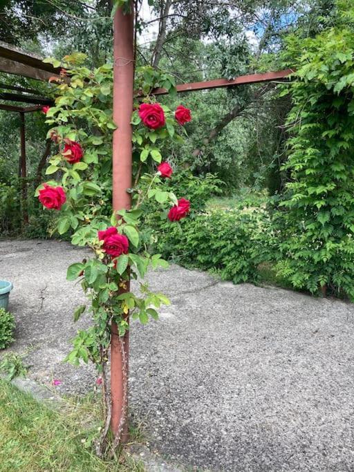 Casa Rural La Fresneda De Tenzuela Segowia Zewnętrze zdjęcie
