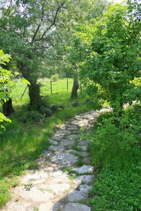 Casa Rural La Fresneda De Tenzuela Segowia Zewnętrze zdjęcie