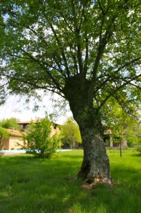 Casa Rural La Fresneda De Tenzuela Segowia Zewnętrze zdjęcie