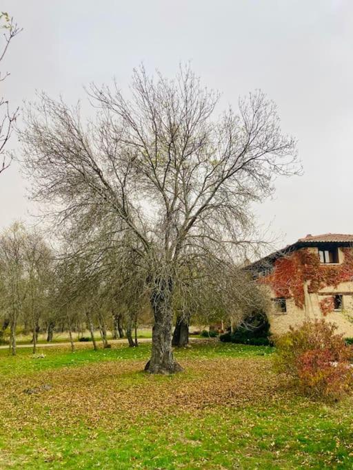 Casa Rural La Fresneda De Tenzuela Segowia Zewnętrze zdjęcie